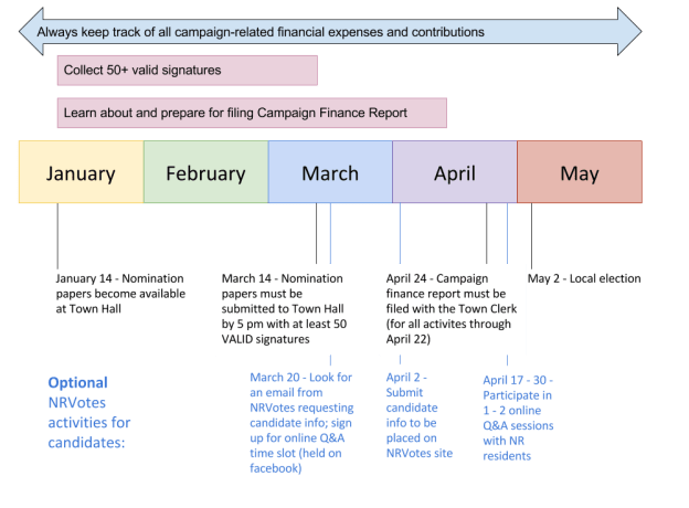 NRVotes Local Elections Process (1)